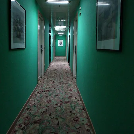 贝纳科酒店 西尔米奥奈