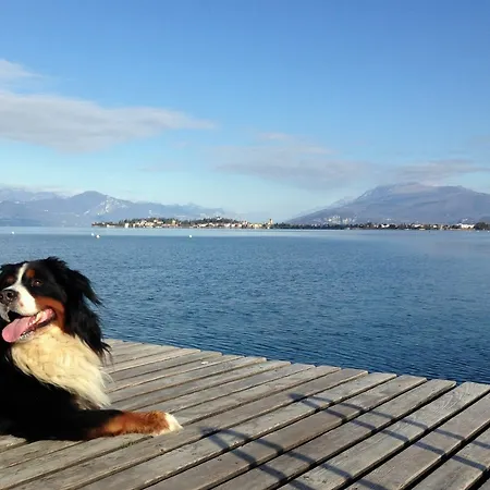 Hotel Benaco